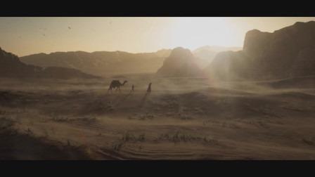 新世界（骆驼）属性：40–170 防御强化20快速打击恢复20 快速跑